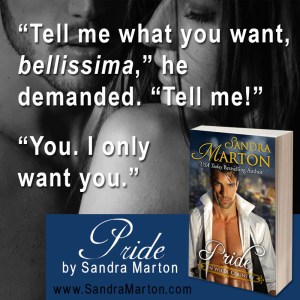 SandraMartonTeaser3 (3)