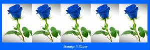 5-blue-roses