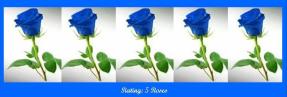 5-blue-roses